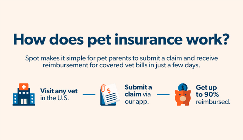 affordable auto insurance tobacco rd road Affordable Insurance Agency, 2605 Tobacco Rd, Ste D, Hephzibah, GA 30815, US North Carolina Car Insurance Coverage