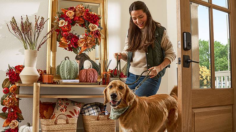Curate the cozy. Fresh fall decor finds. Shop now