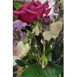 Image 8 of customer photos