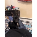 Image 4 of customer photos