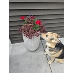 Image 2 of customer photos