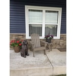 Image 1 of customer photos