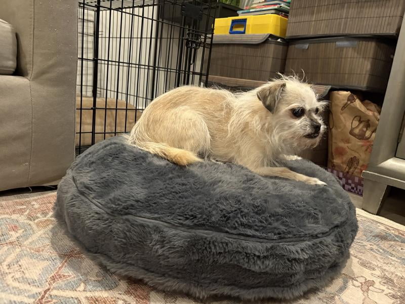 Member's Mark Round Pet Bed, Choose Size and Color - Samsclub.com