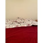 Image 4 of customer photos