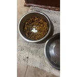 Image 9 of customer photos