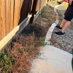 Image 4 of customer photos
