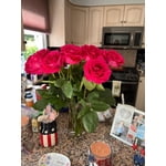 Image 1 of customer photos