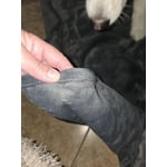 Image 4 of customer photos