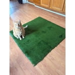 Image 2 of customer photos