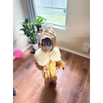 Image 5 of customer photos