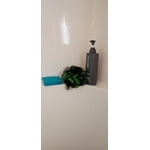 Image 8 of customer photos