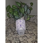Image 10 of customer photos