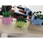 Image 1 of customer photos