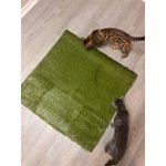 Image 4 of customer photos