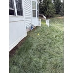 Image 8 of customer photos