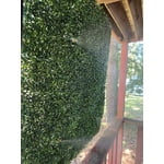 Image 2 of customer photos