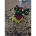 Image 3 of customer photos