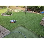 Image 8 of customer photos