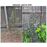 Image 4 of customer photos