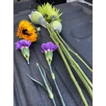 Image 9 of customer photos