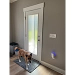 Image 2 of customer photos