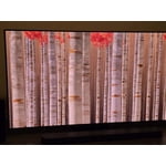 Image 8 of customer photos