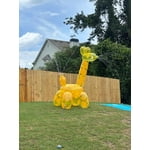 Image 3 of customer photos