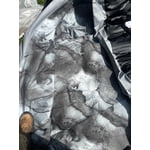 Image 2 of customer photos