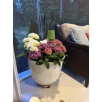 Image 9 of customer photos