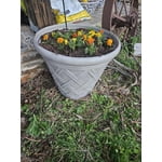 Image 9 of customer photos