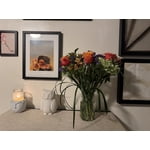 Image 5 of customer photos