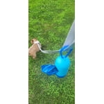Image 2 of customer photos