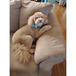 Image 2 of customer photos