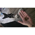 Image 1 of customer photos