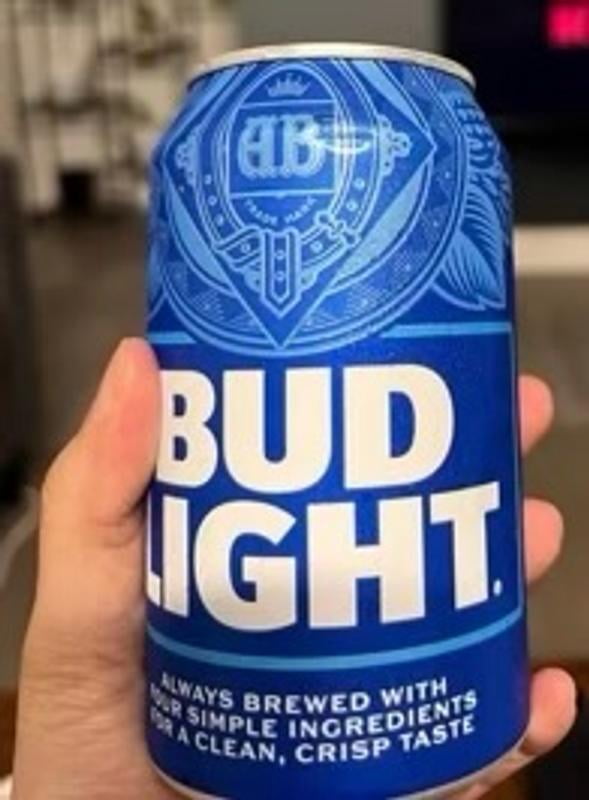 Bud Light Lager Beer, 12 fl. oz. can, 30 pk. - Samsclub.com
