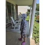 Image 1 of customer photos