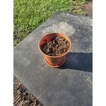 Image 8 of customer photos