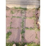 Image 8 of customer photos