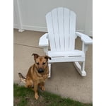 Image 6 of customer photos