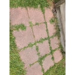 Image 9 of customer photos