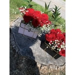 Image 1 of customer photos