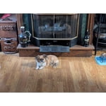 Image 1 of customer photos