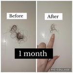 Image 1 of customer photos