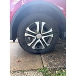 Image 2 of customer photos