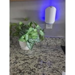 Image 9 of customer photos