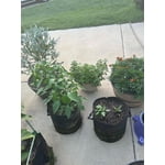 Image 1 of customer photos
