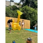 Image 2 of customer photos