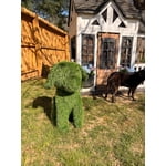 Image 4 of customer photos