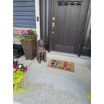 Image 2 of customer photos