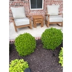 Image 8 of customer photos